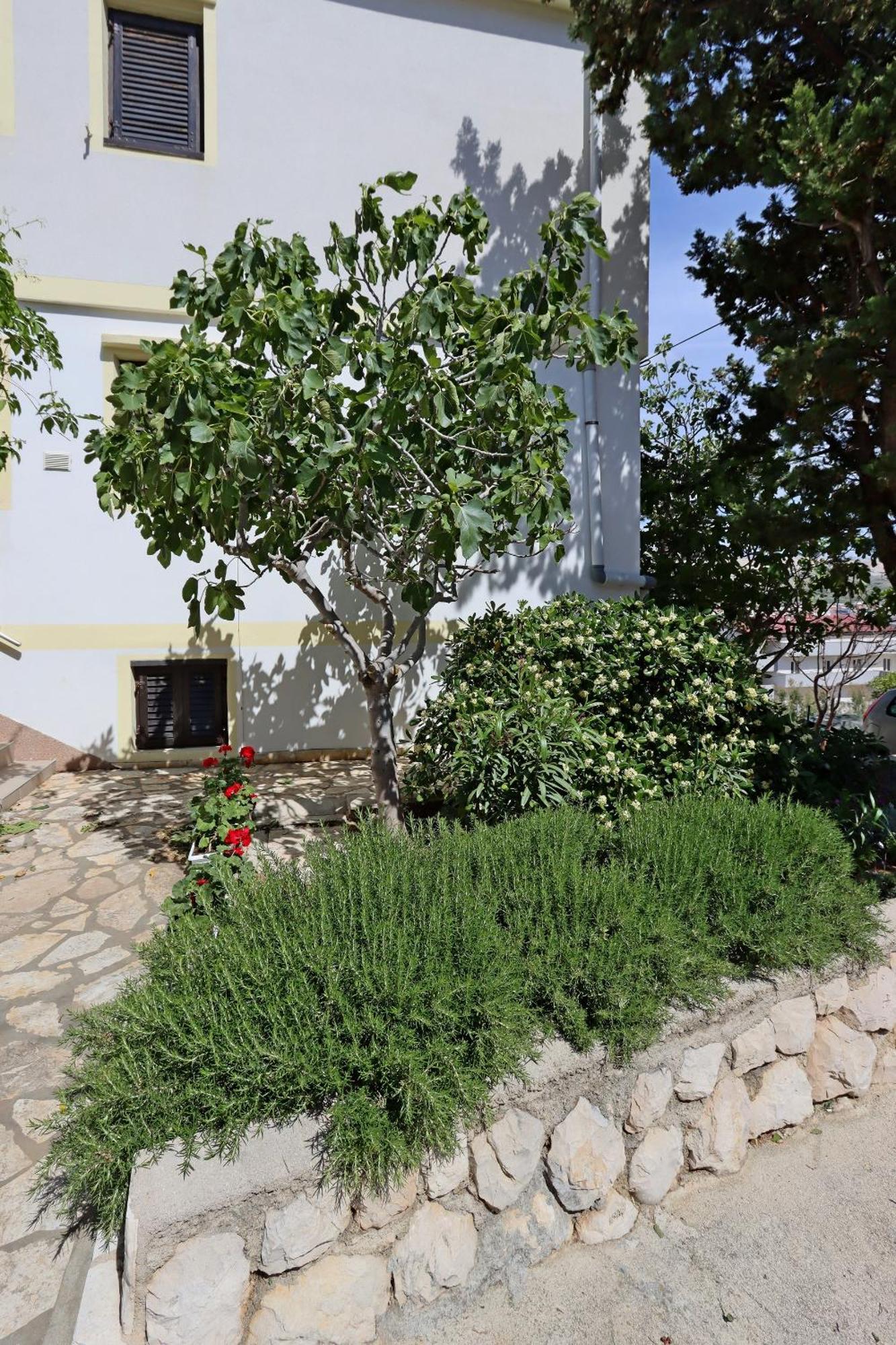 Apartments With A Parking Space Pag - 18345 Pag Town Bagian luar foto